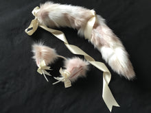 Load image into Gallery viewer, Stunning Limited Edition Kitten - Wolf Play Set