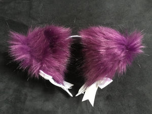 Gorgeous DamsonAnd White Kitten- Wolf  Ears