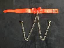 Load image into Gallery viewer, Fabulous Collar With Nipple Clamps