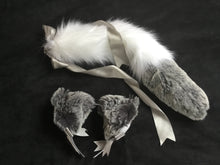 Load image into Gallery viewer, Stunning Princess Kitten / Wolf Play Set, BDSM