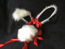 Load image into Gallery viewer, Bunny play set with looped plug, kawaii, anime, cosplay, petplay, bunnyplay