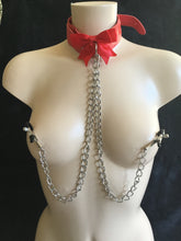 Load image into Gallery viewer, Fabulous Collar With Nipple Clamps
