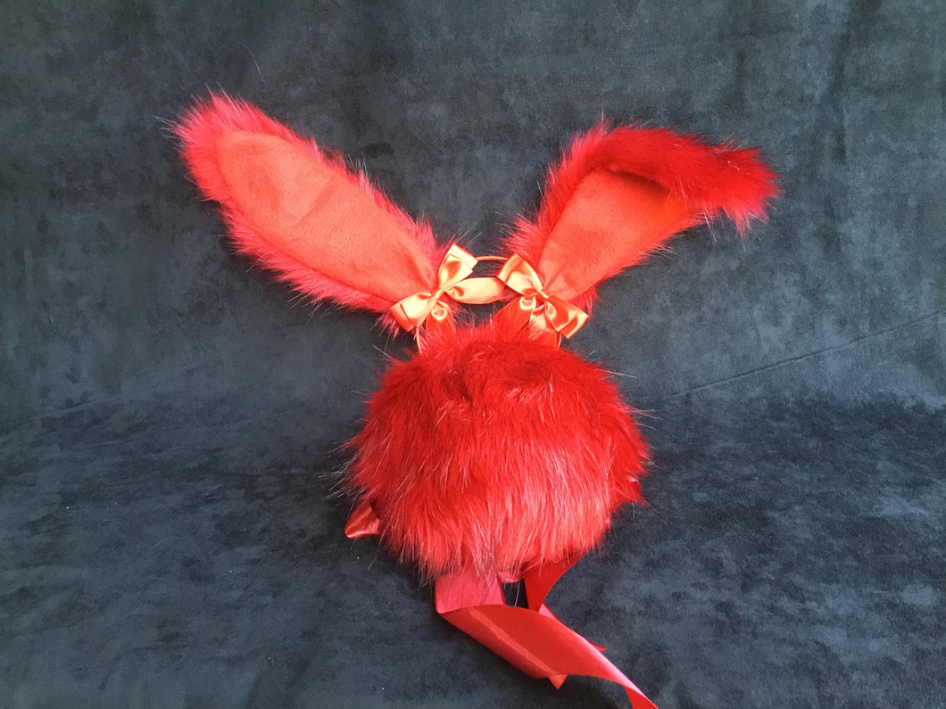 Flame Red Bunny play set, kawaii, anime, cosplay, petplay, bunnyplay