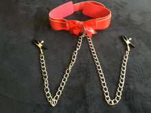 Load image into Gallery viewer, Fabulous Collar With Nipple Clamps
